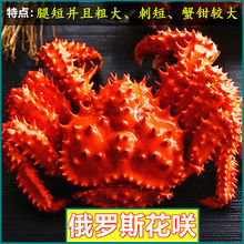 俄罗斯花咲蟹生冻帝王蟹1斤6斤以上超大螃蟹蟹海蟹新鲜活冻品