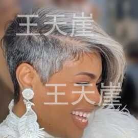 2026欧美新款女士假发   时尚个性帅气段短直发椒盐色灰白 批发