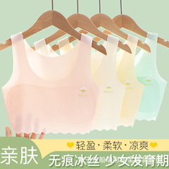 下着の女の子の小学生の無傷の青春の発育期の小さい女の子の小さいベストの少女の子供は胸の薄い金の通気を拭きます。