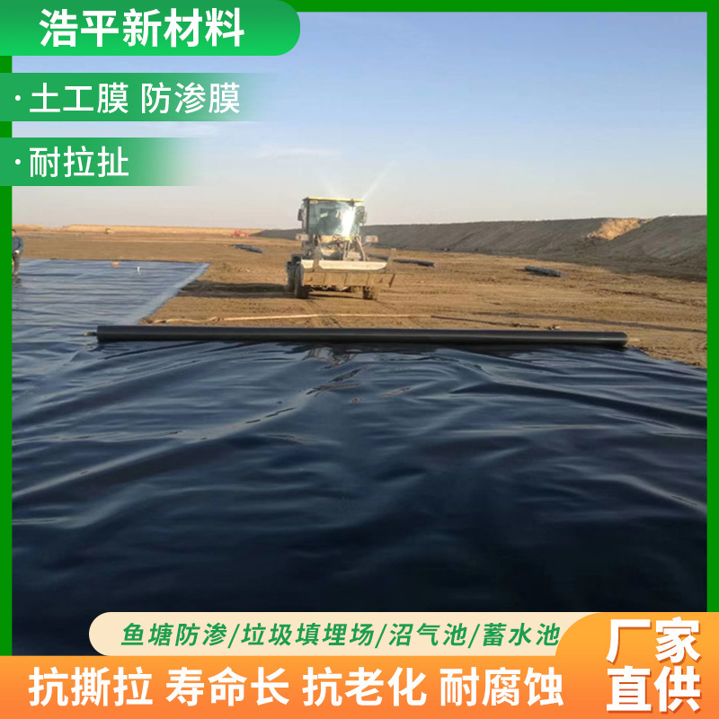 土工膜鱼塘护坡沼气池防渗土工膜高密度水产养殖聚乙烯hdpe土工膜|undefined