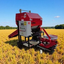 նȫԄӴĤһwCAϴCĤCAC