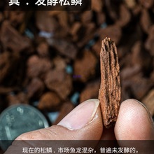 沃松松树皮发酵松磷腐熟松鳞兰科植料土铺面大汉葡萄牙进口松树皮