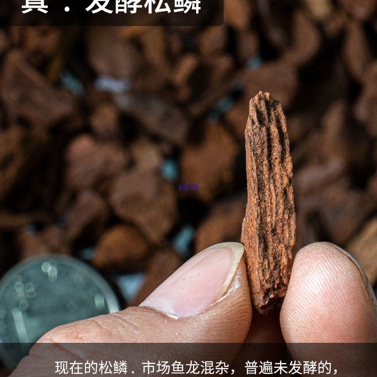 沃松松树皮发酵松磷腐熟松鳞兰科植料土铺面大汉葡萄牙进口松树皮