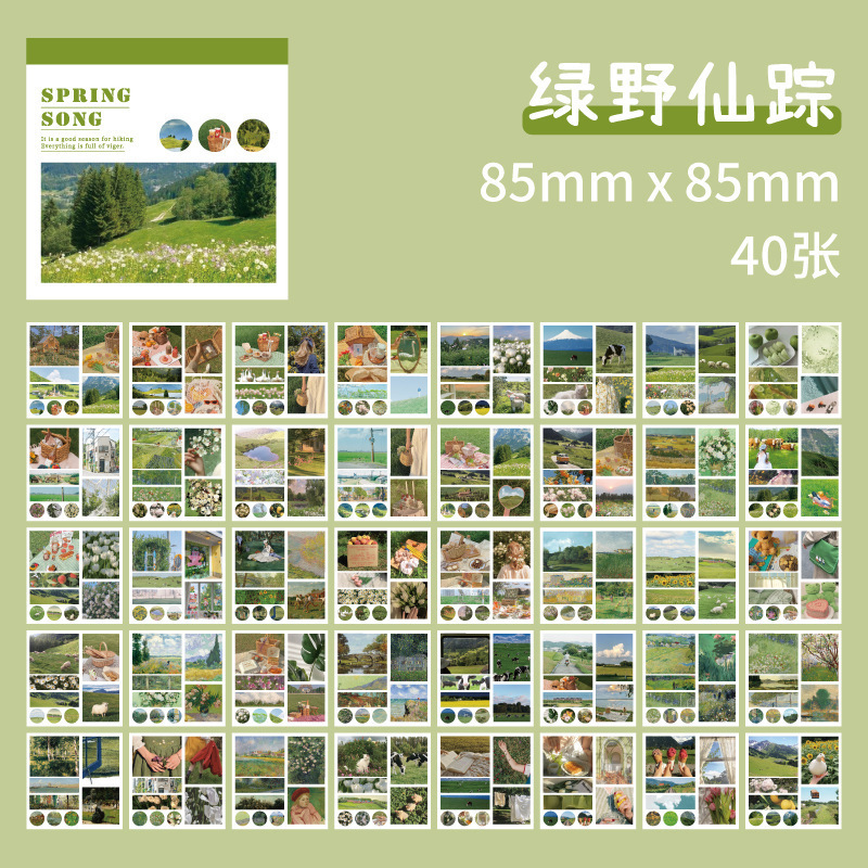 Pegatinas teñidas de papel una serie de pinturas al óleo frescas de literatura y arte de la niña material de decoración de 6 pegatinas