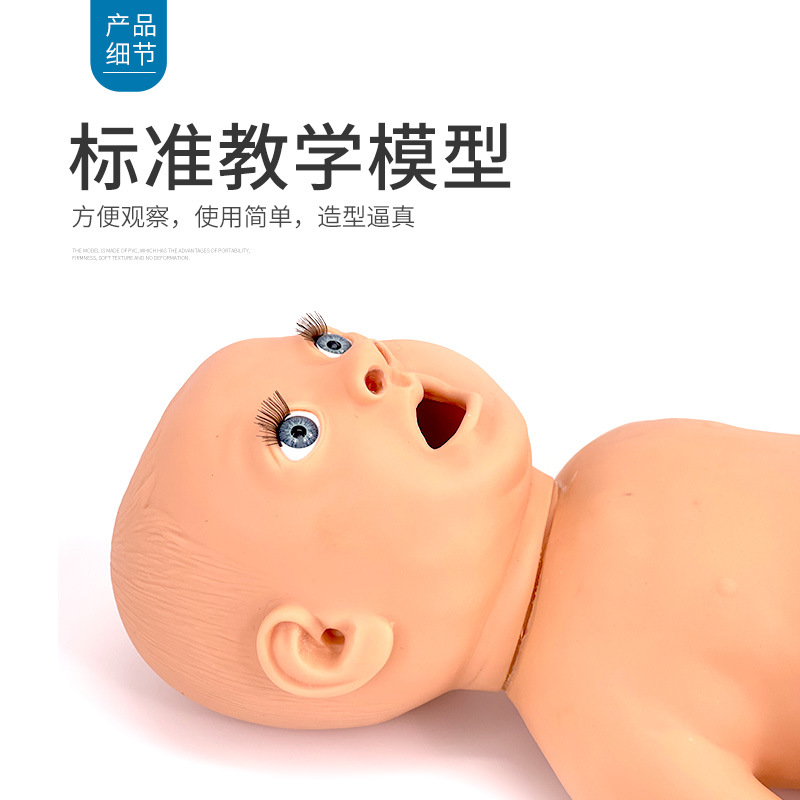 Ӥ���ķθ���ģ���� ҽѧ����ѵ�� ����ģ�� С�����ܲ��ģ����