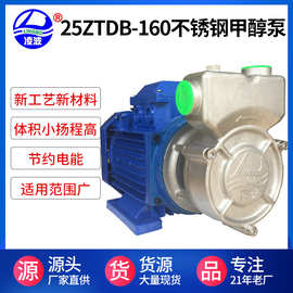 阳春凌波牌25ZTDB-160小型 耐用新品促销价高压燃烧器供油泵