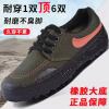 Rubber sole-low top-navy blue