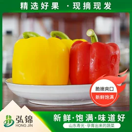 辣椒彩椒;瓜果类