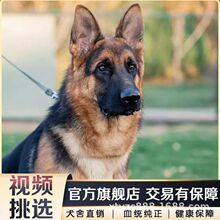 ���N������Ȯ�����ڱ�������Ȯ��Ȯ܊Ȯ�����ǹ��CȮ���ﹷ��