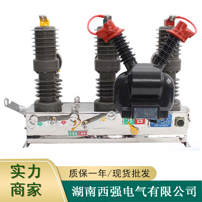 ZW32-12G/630手动10kv高压真空断路器看门狗隔离PT刀户外柱上开关