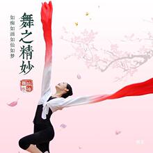 鸿舞蹈戏曲甩袖水袖舞服装上衣女藏族儿童练功服古典风成人