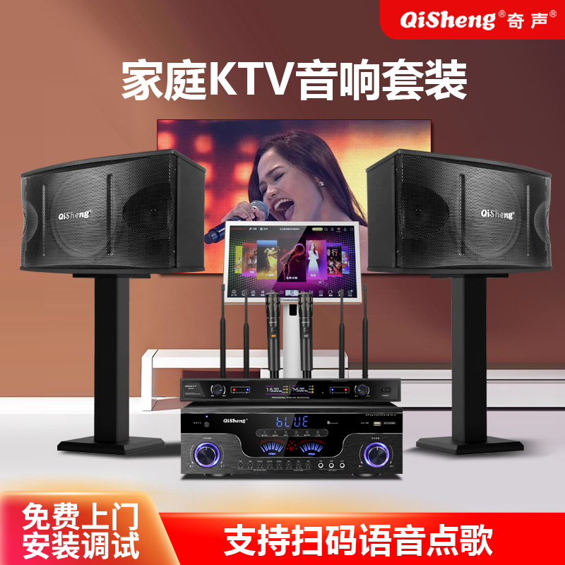 Qisheng T10 Home Ktv Audio Set Full Set of Karaoke Machine Karaoke All-In-One Home Karaoke Combination Speaker