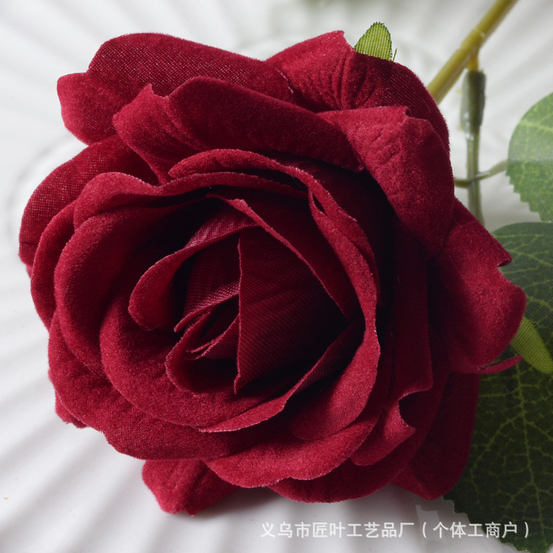 엘사 로즈 와인 레드