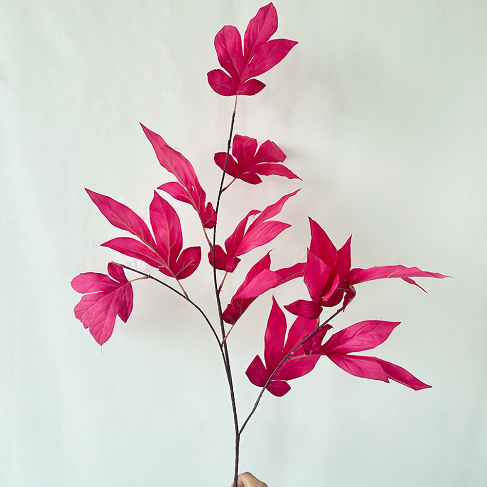 다메이예 로즈핑크