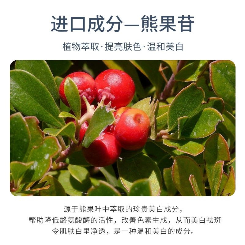 梵贞 Brightening moisturizing refreshing face mask, wholesale