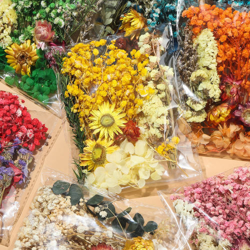 Dry Flower Fan DIY Everlasting Flower Material Kit DIY Picture Frame Sticker Floating Mother's Day Flower Arranging Class Bagged Flower Materials
