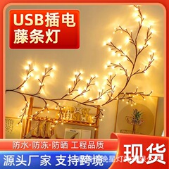 国境を越えたled枝藤条灯ネット赤ins客間寝室にカラーランプを配置して祝日の結婚祝い装飾樹枝灯を飾る
