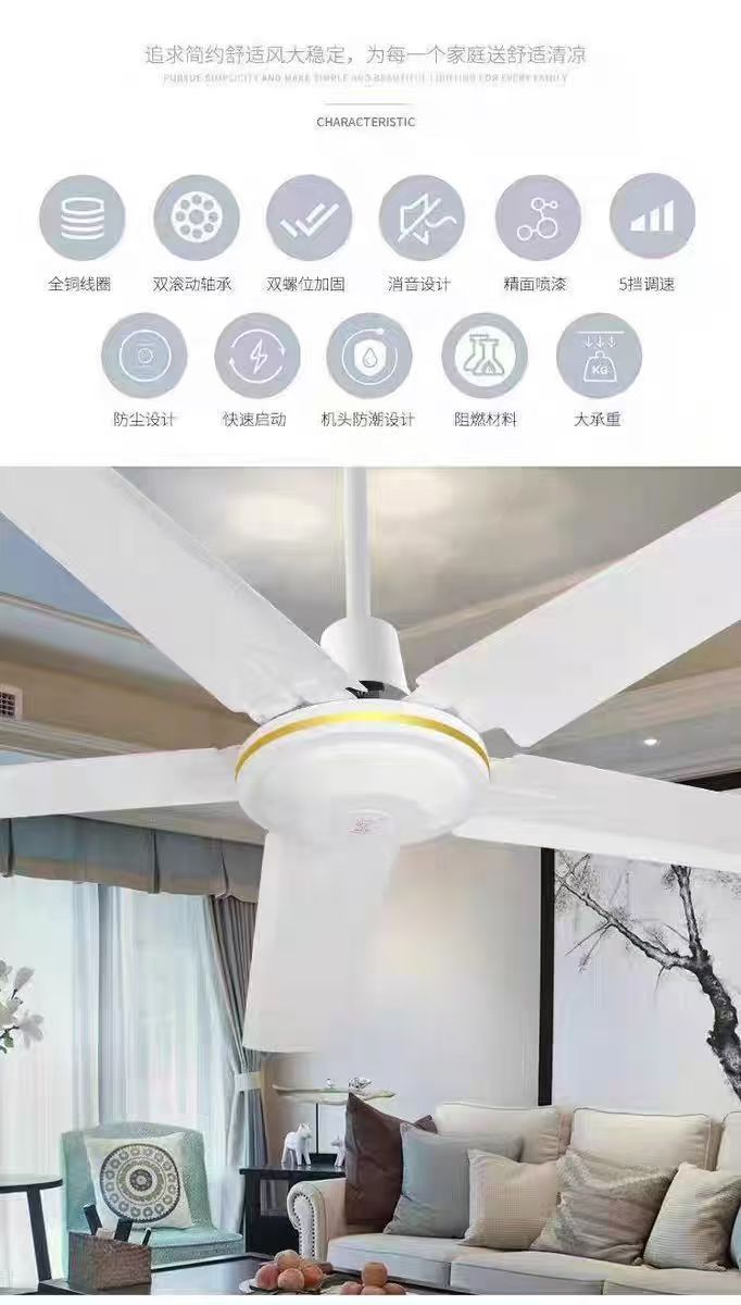 微信图片_20250527232501