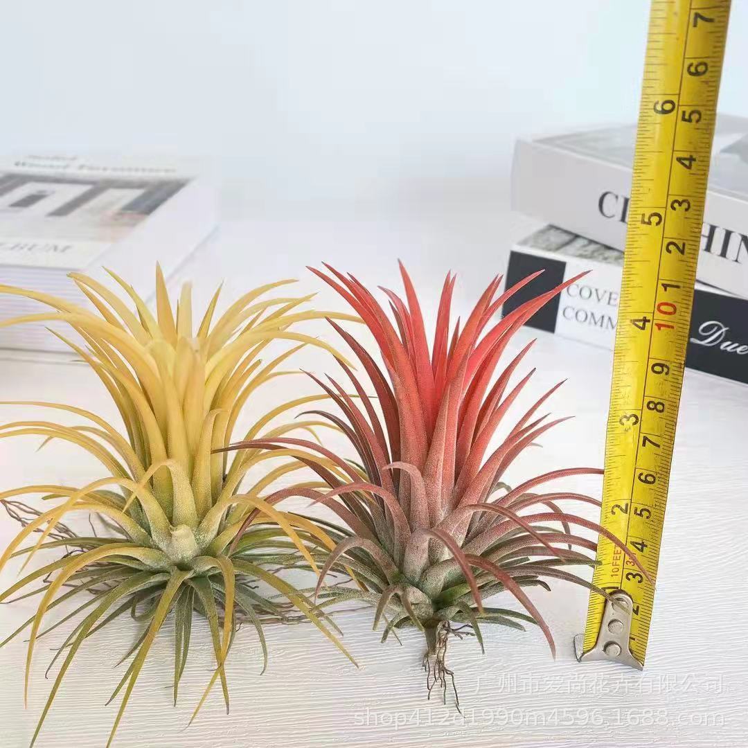 微信图片_20211105022609