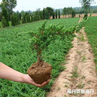 �ذ�ӭ�����辰�������͘���ͥԺ�҃��^�~����ֲ�������������