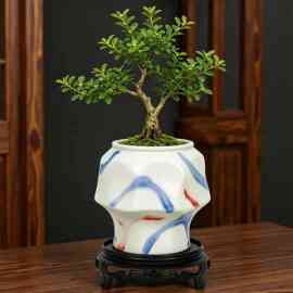 源头工厂冰裂纹陶瓷花盆 小叶紫檀盆景盆 家用阳台绿植盆批发