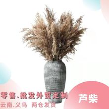 跨境亚马逊小蒲苇小芦柴干花批发婚庆道具真花束小芦苇干花束芦苇