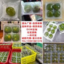 �Ϻ����S�������F����ͨ�Ј����l�決���ֹ����F�Ӿ��^�خa��؛