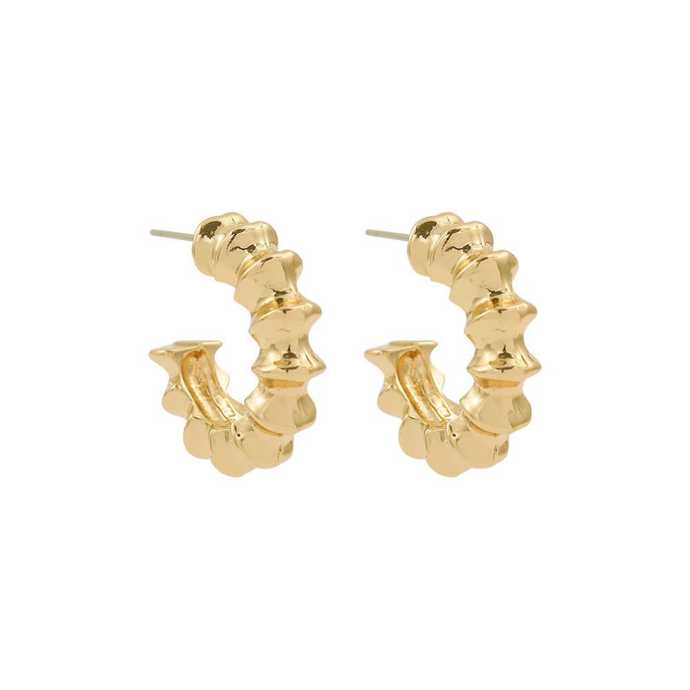 Retro C Shape Plating Alloy No Inlaid Earrings display picture 3