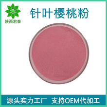 针叶樱桃粉VC17% VC25% 天然维生素C 水溶性针叶樱桃果粉 现货