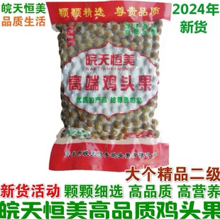 2023���L�����u�^���������Ұ�����r�����͌����u�^���͌�500g