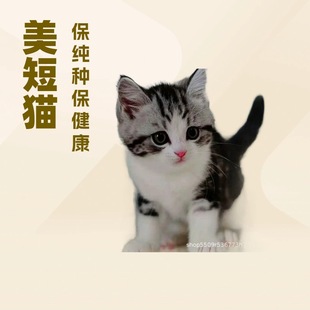 ���̻��ߌ���؈���w���N��ż؈���̻���P�נ�����С��؈���w����