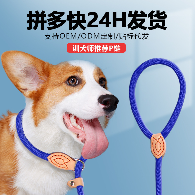 Cuerda de perro de paseador de nailon, cuerda de entrenamiento de perro, cuerda de remolque, mano sin control, perro grande pequeño, a prueba de explosiones, cuerda P anti-mordida