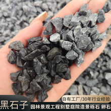 黑石子石厂家批发庭院景观石园林工程枯山水造景铺路现货多规格