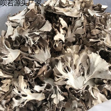 灰树花干货灰树菇食用菌绿色舞茸茶农家栗蘑千佛菌切片100g