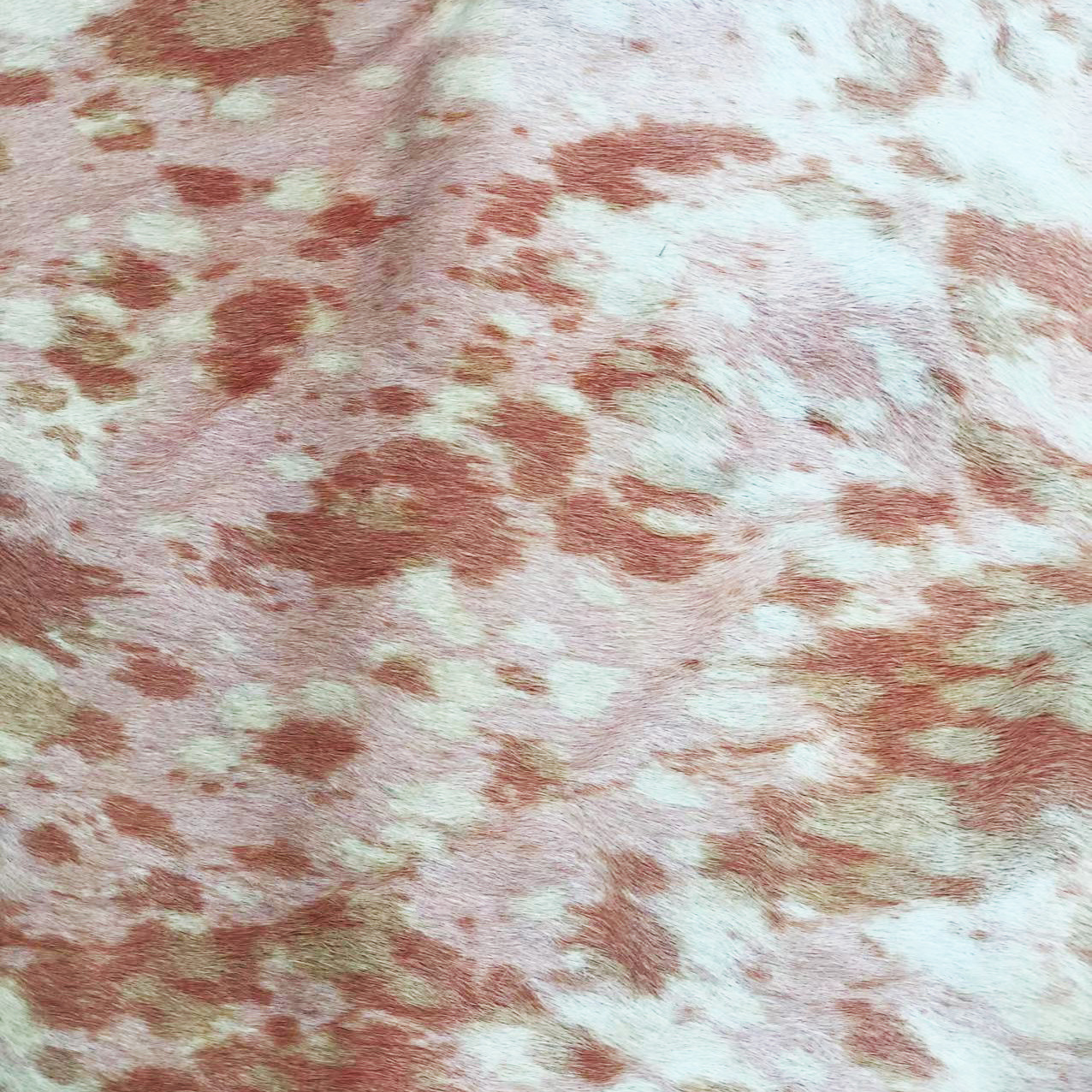 e5053d866d382a431f4175792390f9