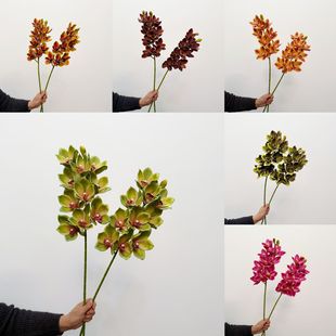 ���EVA����󻨻��m 10�󻨻��m�廨�Ӱ��g�u׃ɫ�Ҿӻ�ޥ�m��c