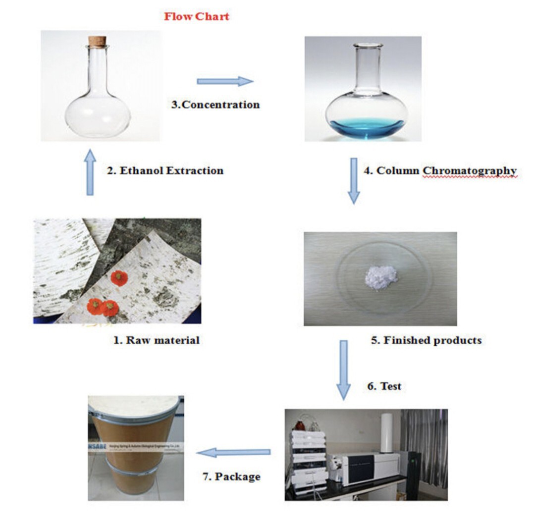 洋葱提取物 50 1  1kg