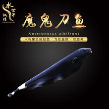 【黑羽毛鱼】_黑羽毛鱼品牌/图片/价格_黑羽毛鱼批发_阿里巴巴