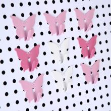 ������6mm�A��������h�ռ{�������ɐ��b��h���������카