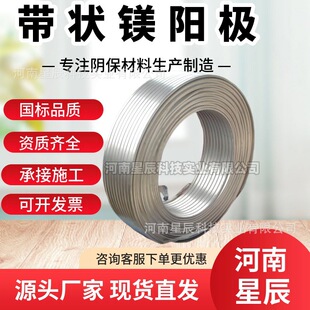 �����VꖘO�׹܅^��ꎘO���o Ҏ��9.5*19mm���Fо�V�Ͻ����ꖘO
