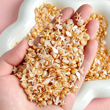 ��ɫ����ؐ�������Ʒ�¿�\�S�\�㙉Ҭ�亣�����~βDIYָ���b�