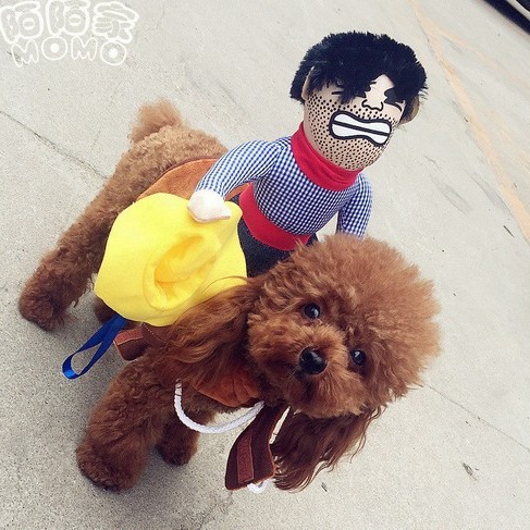 Perro caballo traje villano transformación traje muñeca Denim Knight Golden Retriever Teddy personalidad divertida ropa para perros