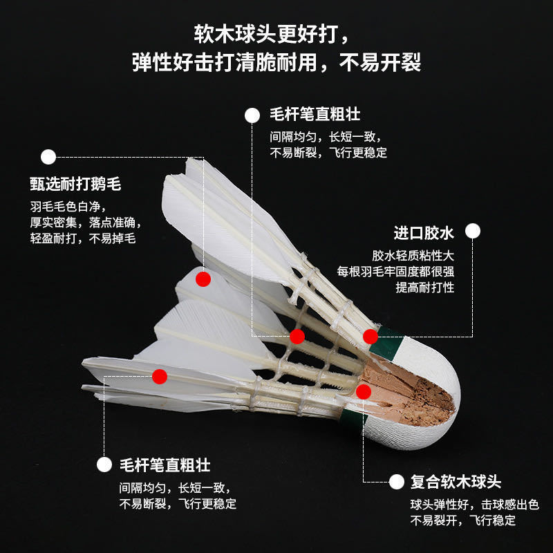 34d626f2-5939-440f-8886-021c9fd0196b.jpe