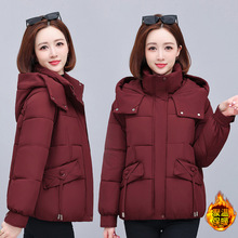 ��ɭ�������t2025�¿���q�޷�С���ӷ�����ů���\�Ӻ�����ñ�ɲ�