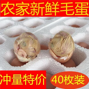 ����40ö�b�r��ë���u�ߵ�ë�u��ϲ�����u���P�˵����l