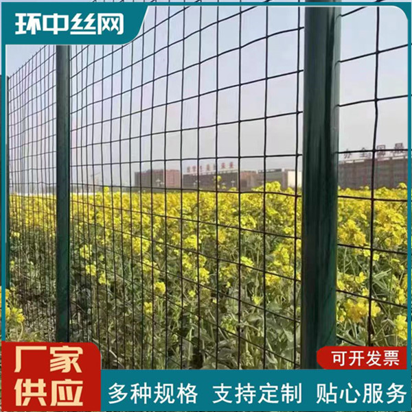现货直销浸塑墨绿色荷兰网养鸡鸭围栏菜园鱼塘果园圈地防护铁丝网