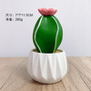 Realistic transport, jewelry, resin, decorations for office, table laptop, cactus