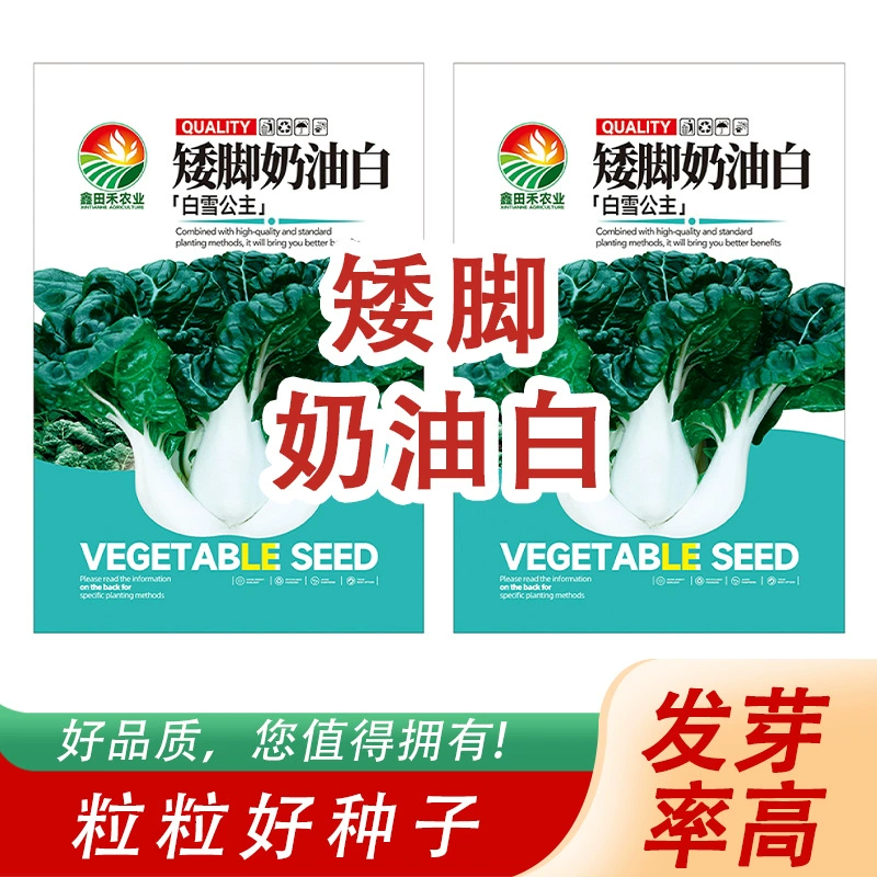 Низкорослые кремно-белые семена овощей, вкусные и освежающие семена капусты, готовые семена овощей, готовые от производителей.