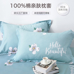 純綿枕カバーのペアは家庭用100綿の枕カバーの学生寮48x74cm枕カバーの卸売りです。