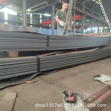QSTE340TM��ϴ�� QSTE420TM�ߏ���ϴ���_ƽ���� ��ʢ�����������l